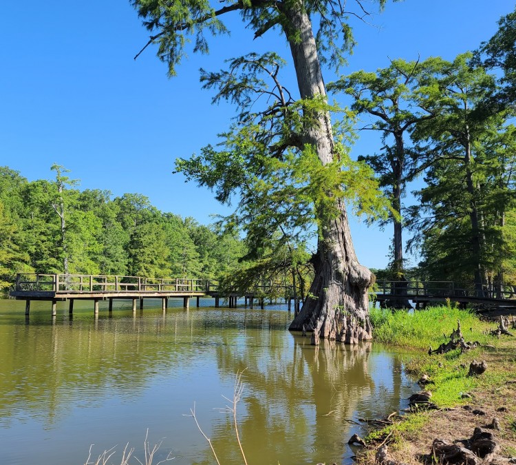 Leroy Percy State Park (Hollandale,&nbspMS)